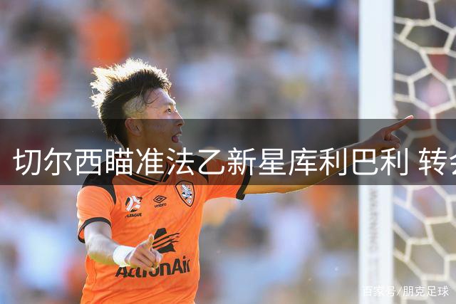 切尔西瞄准法乙新星库利巴利 转会谈判进入关键阶段