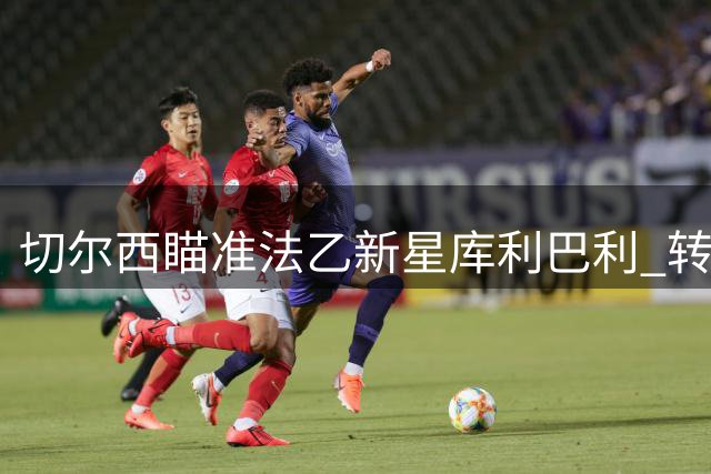 切尔西瞄准法乙新星库利巴利 转会谈判进入关键阶段